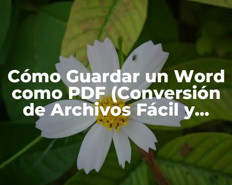 Cómo Guardar un Word como PDF (Conversión de Archivos Fácil y Rápida)