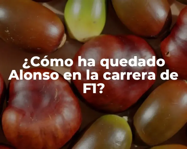 ¿Cómo ha quedado Alonso en la carrera de F1?