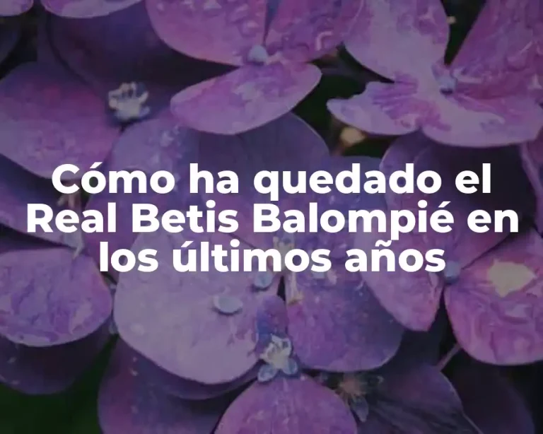 Cómo ha quedado el Real Betis Balompié en los últimos años