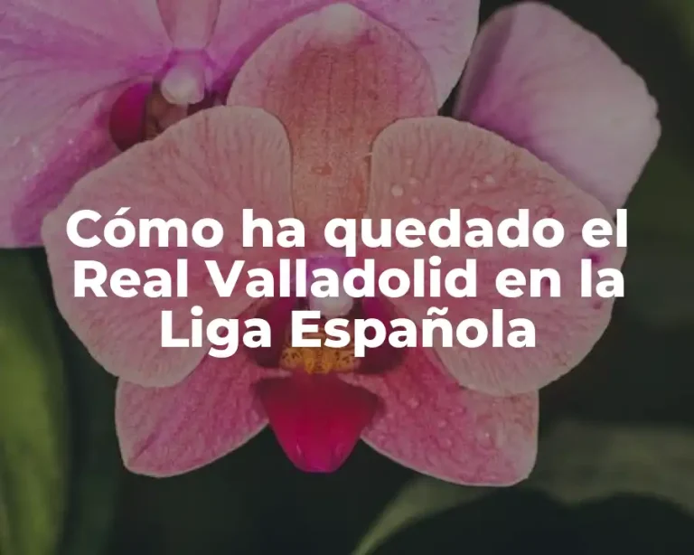 Cómo ha quedado el Real Valladolid en la Liga Española