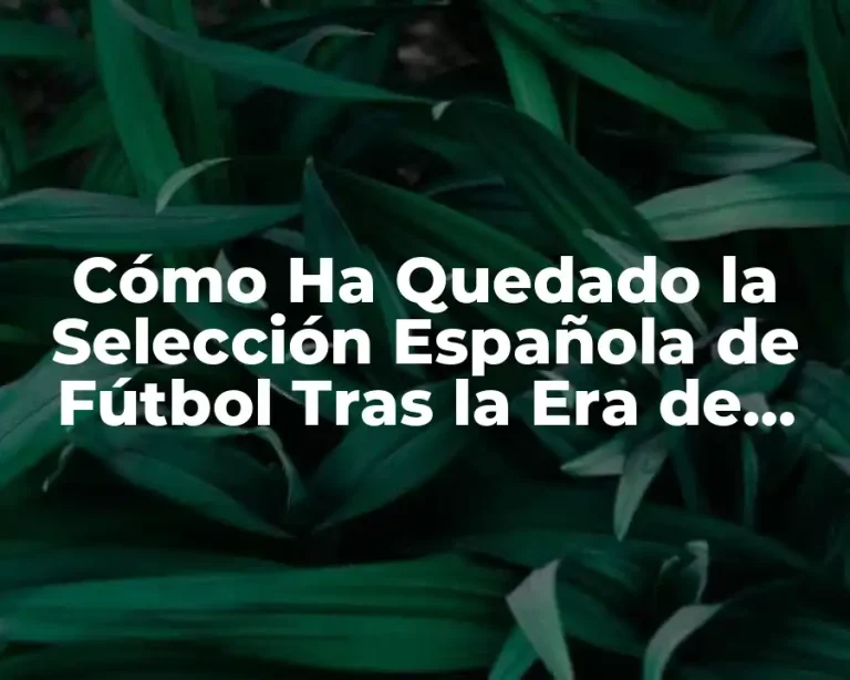 Cómo Ha Quedado la Selección Española de Fútbol Tras la Era de Tiki