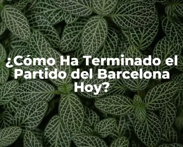 ¿Cómo Ha Terminado el Partido del Barcelona Hoy?