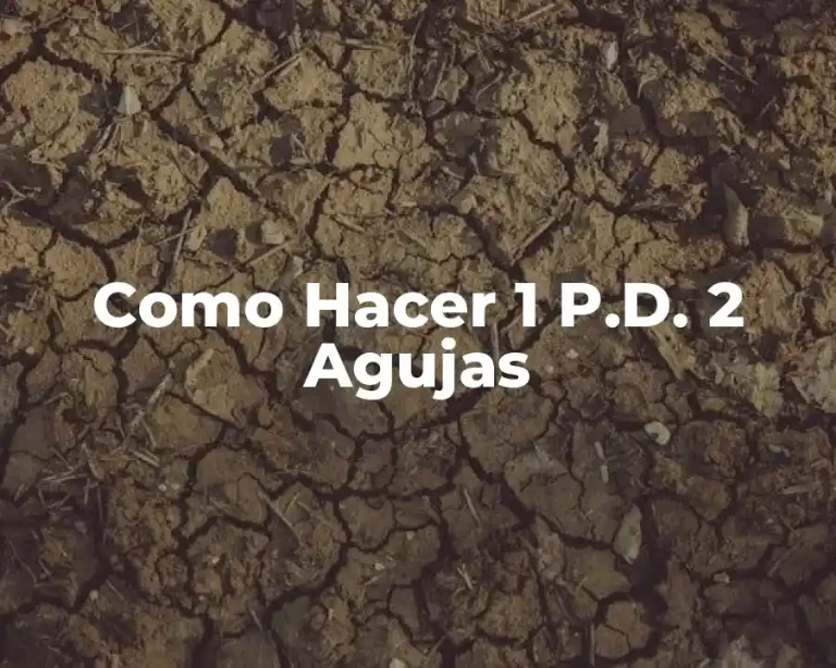 Como Hacer 1 P.D. 2 Agujas