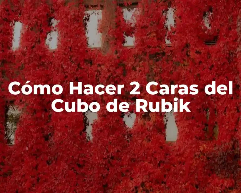 Cómo Hacer 2 Caras del Cubo de Rubik