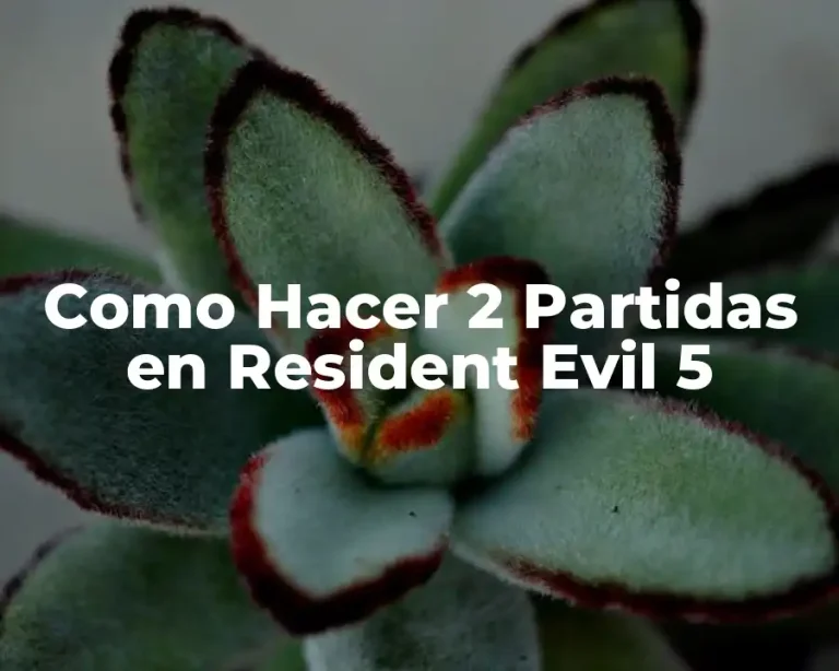 Como Hacer 2 Partidas en Resident Evil 5