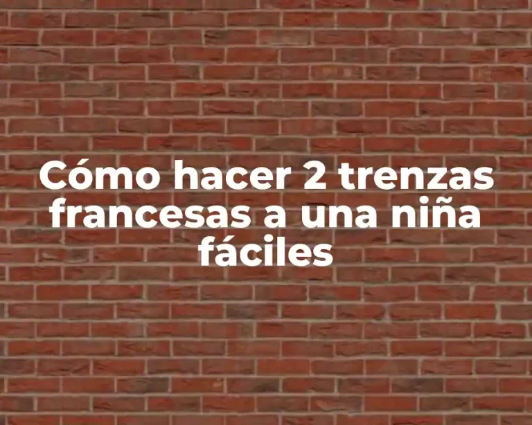 Cómo hacer 2 trenzas francesas a una niña fáciles