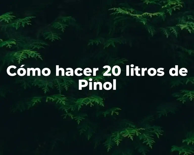 Cómo hacer 20 litros de Pinol