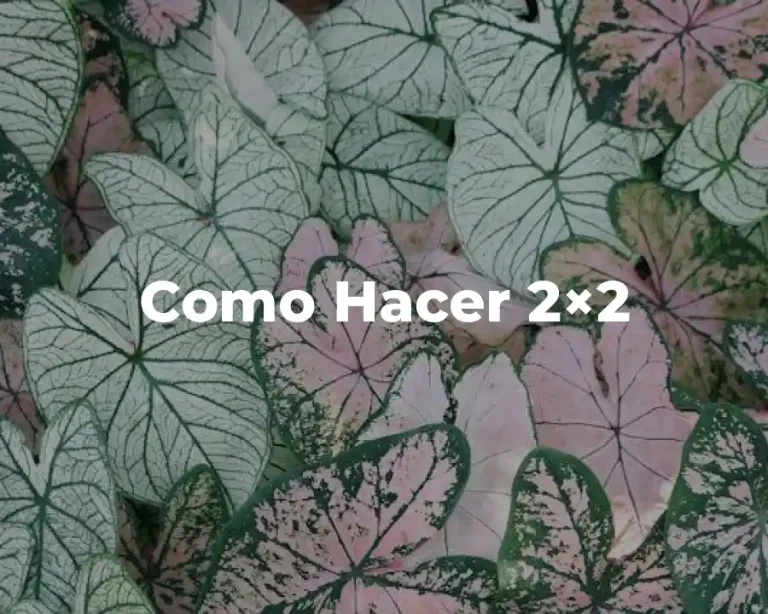Como Hacer 2×2