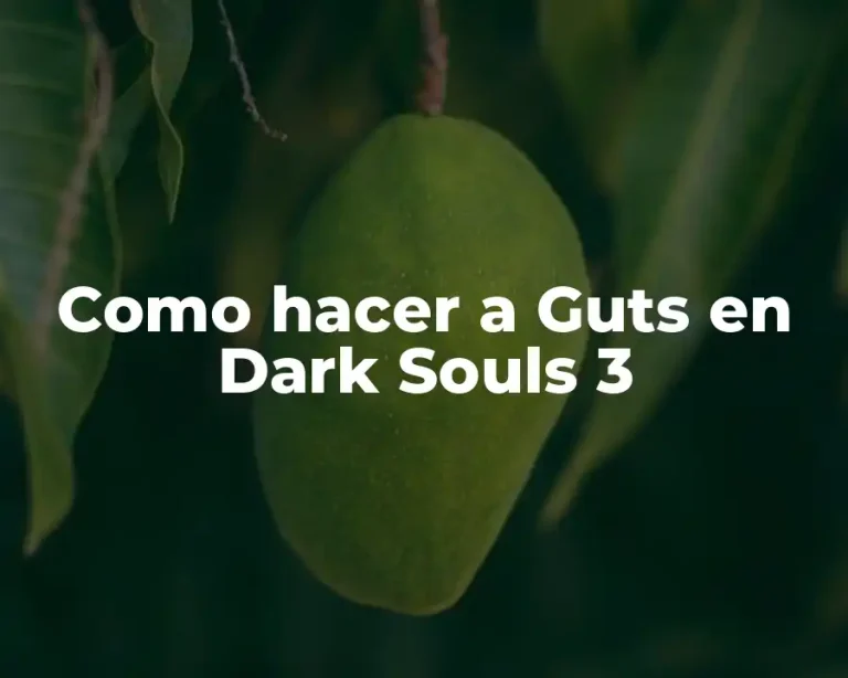 Como hacer a Guts en Dark Souls 3
