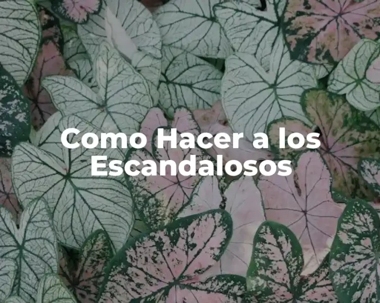Como Hacer a los Escandalosos