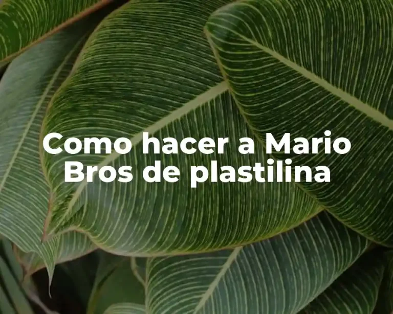 Como hacer a Mario Bros de plastilina