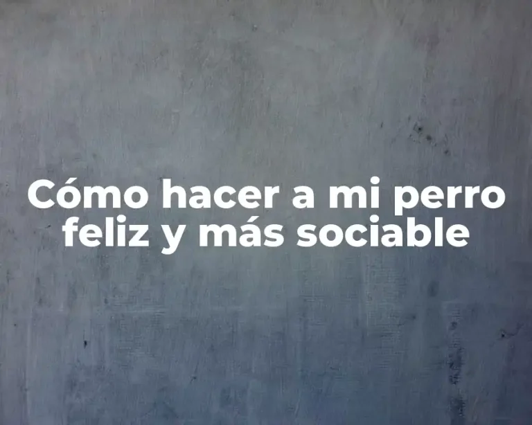 Cómo hacer a mi perro feliz y más sociable