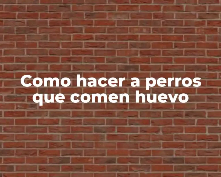 Como hacer a perros que comen huevo