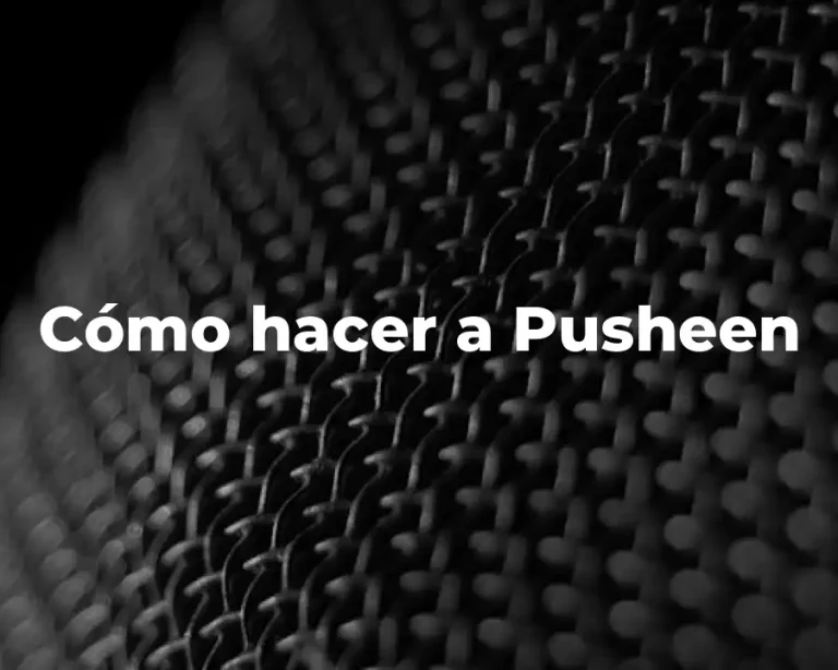 Cómo hacer a Pusheen