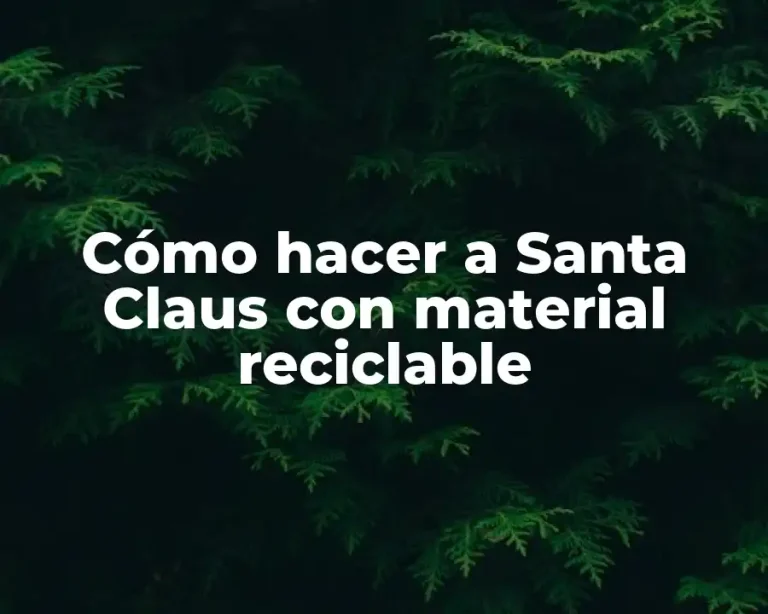 Cómo hacer a Santa Claus con material reciclable