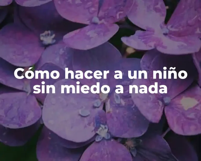 Cómo hacer a un niño sin miedo a nada
