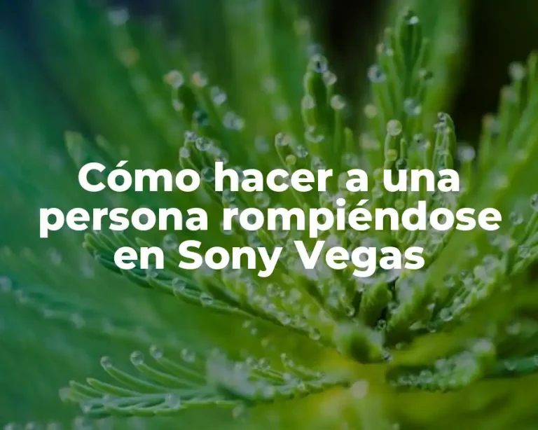 Cómo hacer a una persona rompiéndose en Sony Vegas