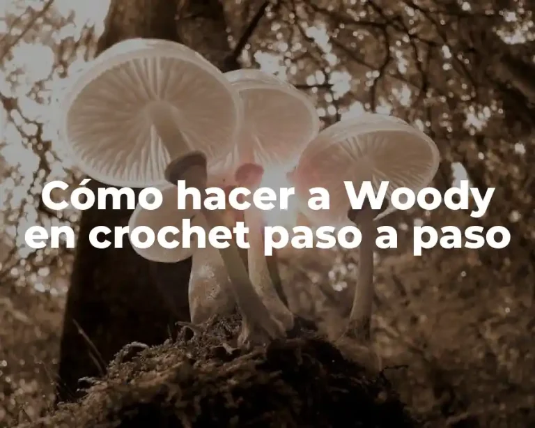 Cómo hacer a Woody en crochet paso a paso