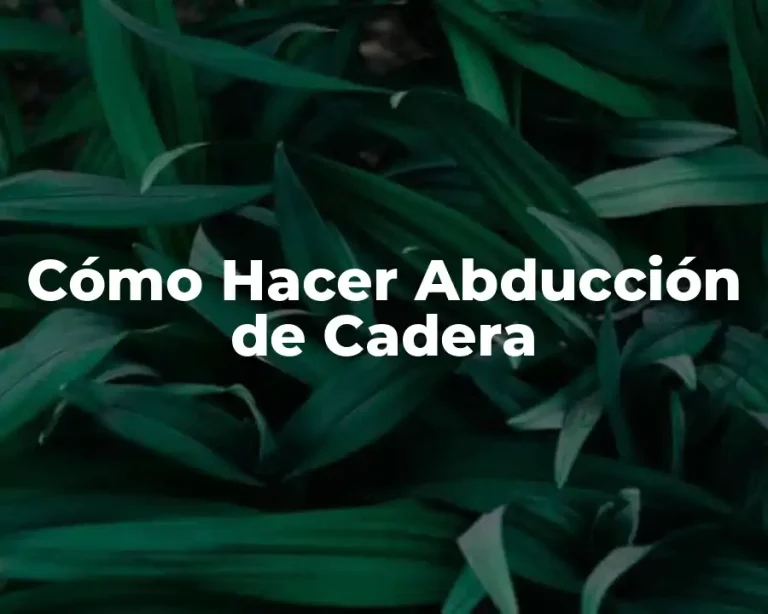Cómo Hacer Abducción de Cadera