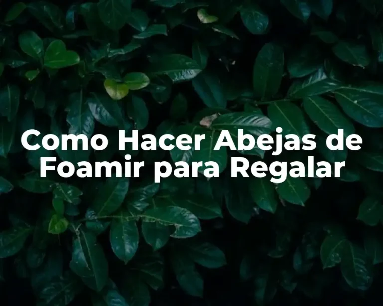 Como Hacer Abejas de Foamir para Regalar