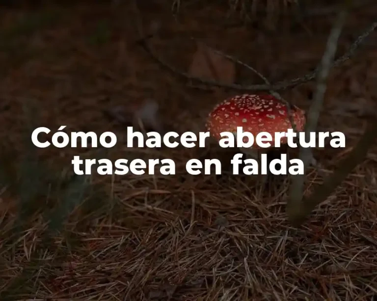 Cómo hacer abertura trasera en falda