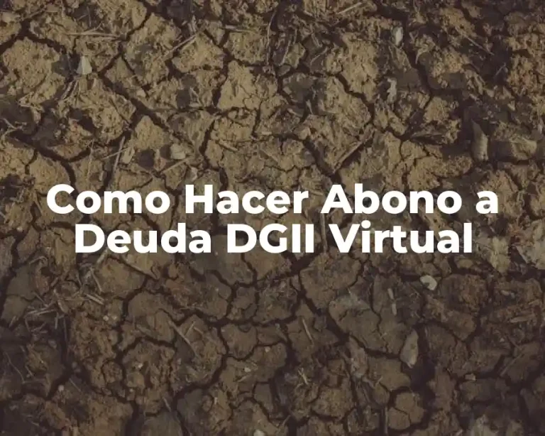 Como Hacer Abono a Deuda DGII Virtual