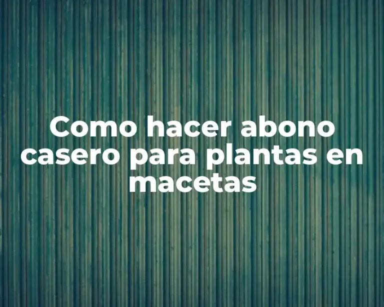 Como hacer abono casero para plantas en macetas