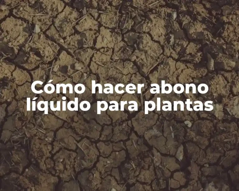 Cómo hacer abono líquido para plantas