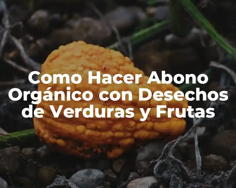 Como Hacer Abono Orgánico con Desechos de Verduras y Frutas