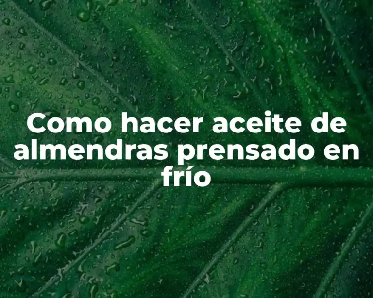 Como hacer aceite de almendras prensado en frío
