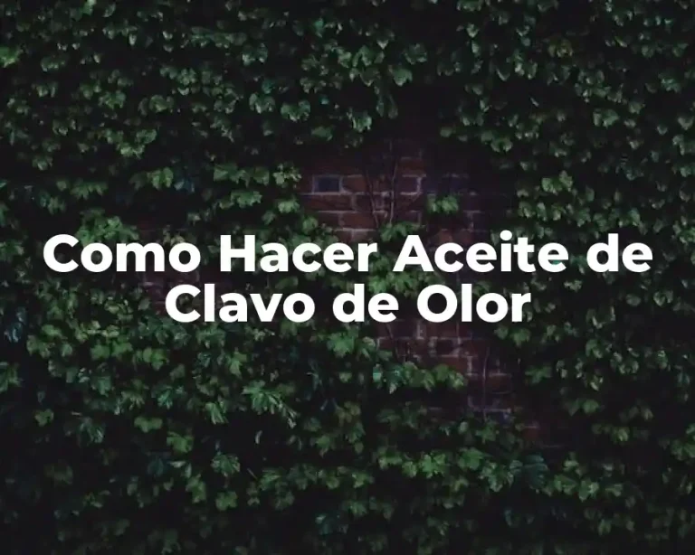 Como Hacer Aceite de Clavo de Olor