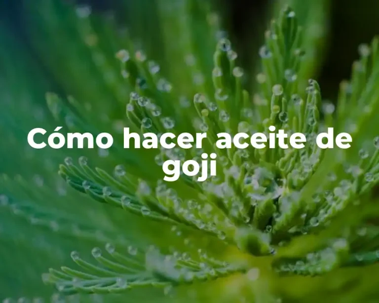 Cómo hacer aceite de goji
