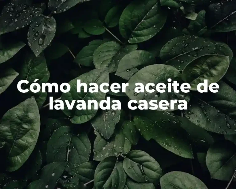 Cómo hacer aceite de lavanda casera