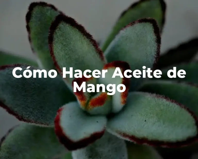 Cómo Hacer Aceite de Mango