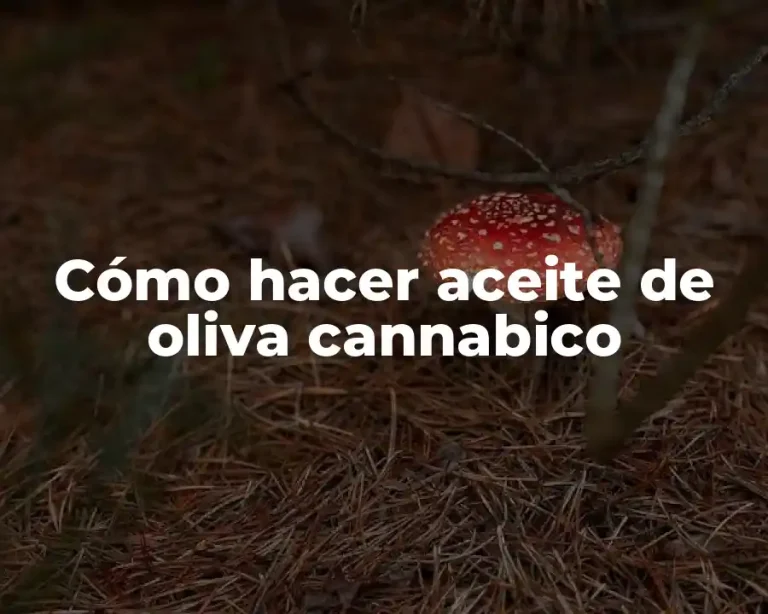 Cómo hacer aceite de oliva cannabico