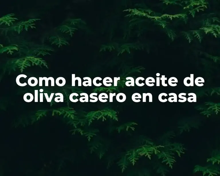 Como hacer aceite de oliva casero en casa