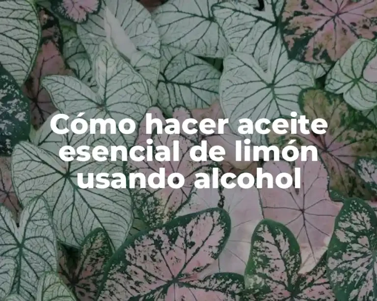 Cómo hacer aceite esencial de limón usando alcohol