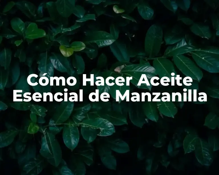 Cómo Hacer Aceite Esencial de Manzanilla