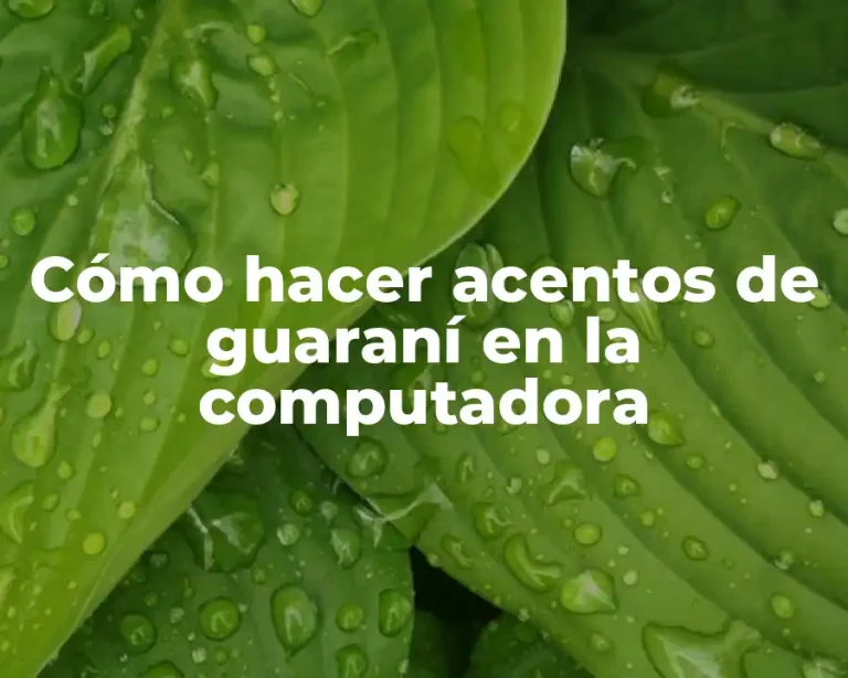 Cómo hacer acentos de guaraní en la computadora