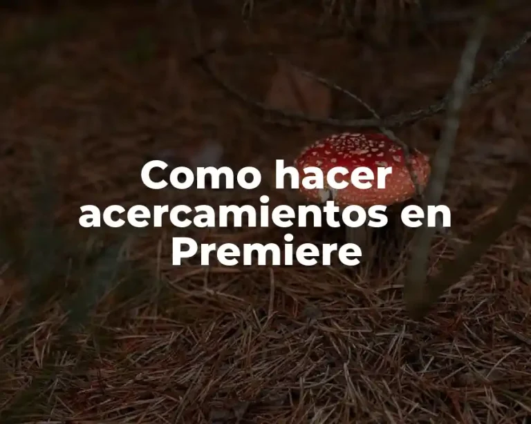 Como hacer acercamientos en Premiere