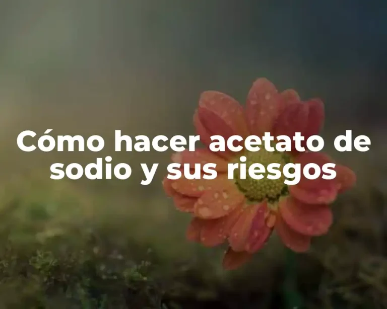 Cómo hacer acetato de sodio y sus riesgos