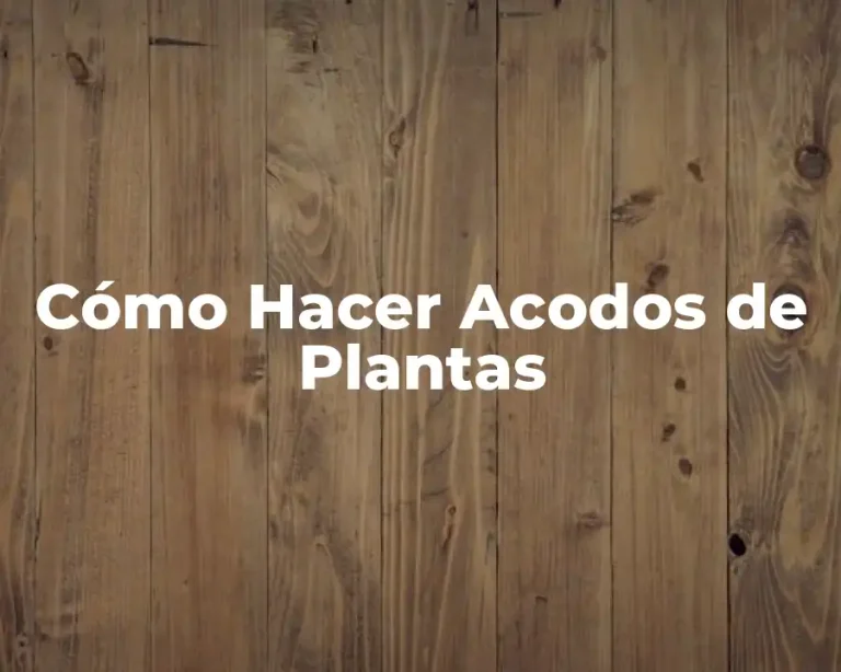 Cómo Hacer Acodos de Plantas