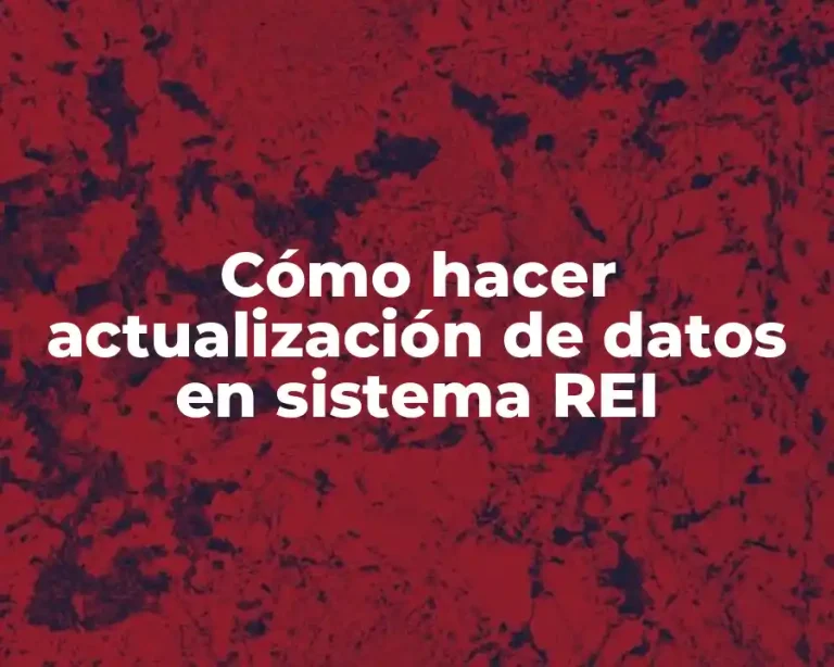 Cómo hacer actualización de datos en sistema REI