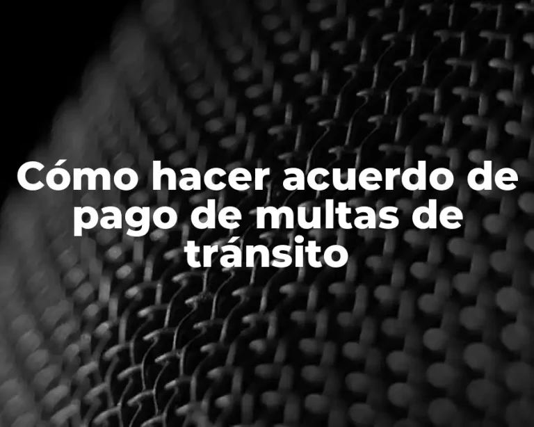 Cómo hacer acuerdo de pago de multas de tránsito