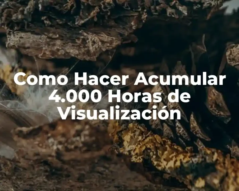 Como Hacer Acumular 4.000 Horas de Visualización
