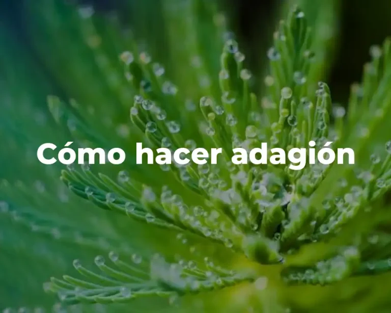 Cómo hacer adagión