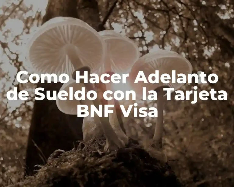 Como Hacer Adelanto de Sueldo con la Tarjeta BNF Visa