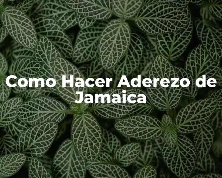 Como Hacer Aderezo de Jamaica