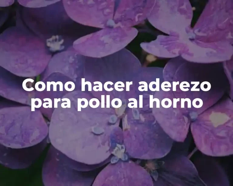 Como hacer aderezo para pollo al horno