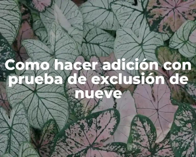 Como hacer adición con prueba de exclusión de nueve